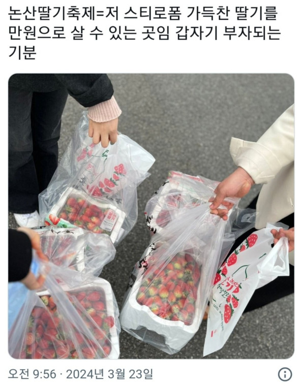 논산 딸기축제.jpg
