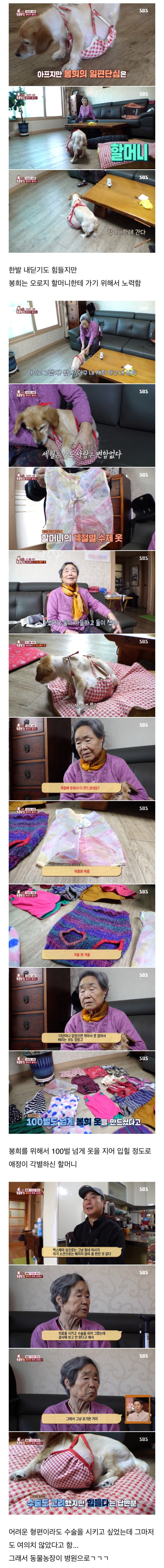 80대 할머니를 울게 만든 동물농장 제작진들.jpg